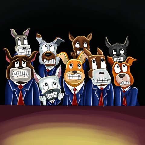 The school dogs in the audience looking surprised